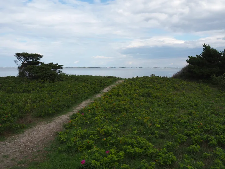 Halshuisene + Enebaerodde Beach (Denemarken)